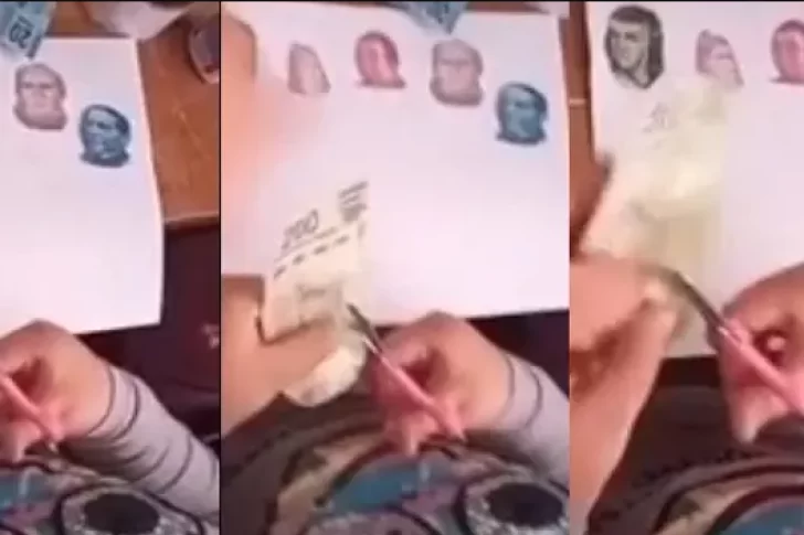 La tarea más cara: una niña recortó próceres de los billetes para un trabajo práctico