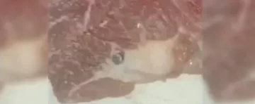 Compró carne, tenía una bala y generó debate al preguntar si podía comerla Compró carne, tenía una bala y generó debate al preguntar si podía comerla