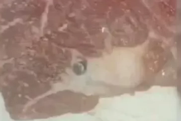 Compró carne, tenía una bala y generó debate al preguntar si podía comerla