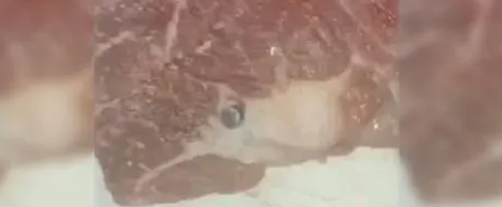 Compró carne, tenía una bala y generó debate al preguntar si podía comerla Compró carne, tenía una bala y generó debate al preguntar si podía comerla