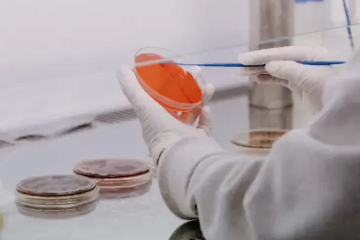 El primer análisis sobre la muestra de viruela del mono en el país dio positivo