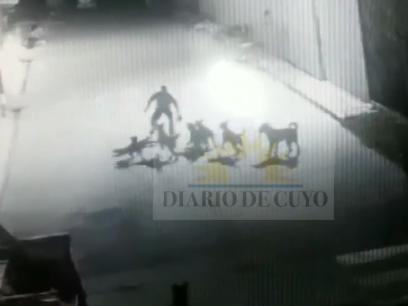 Se conoció un video del ataque de la jauría a un sereno en la planta de residuos Se conoció un video del ataque de la jauría a un sereno en la planta de residuos