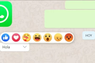 Ya se pueden usar las reacciones a los chats de WhatsApp: cómo funcionan Ya se pueden usar las reacciones a los chats de WhatsApp: cómo funcionan