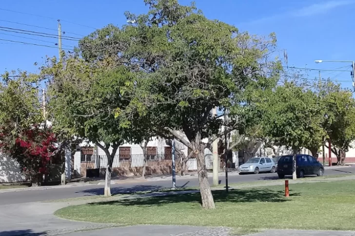 En un confuso episodio en una plaza, le desfiguraron el rostro a un chico de 16 años