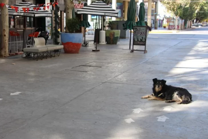 El funcionamiento de los servicios en San Juan durante este sábado de Navidad
