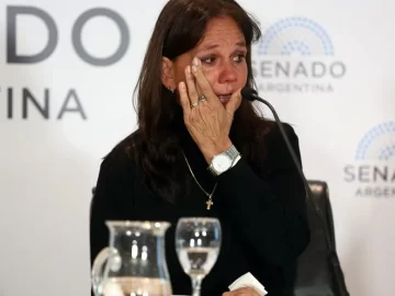 La madre de “Chano” Charpentier reclamó cambios en la Ley de Salud Mental La madre de “Chano” Charpentier reclamó cambios en la Ley de Salud Mental