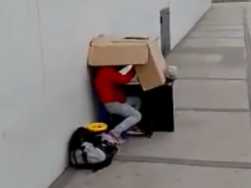 La historia de una nena que estudia debajo de cartones mientras su papá trabaja La historia de una nena que estudia debajo de cartones mientras su papá trabaja