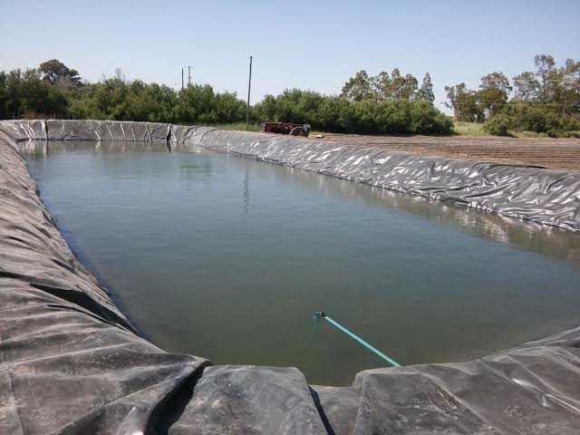 Macri le pidió a Larreta que no haya internas y que Vidal sea candidata