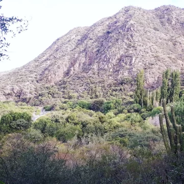 Tres riojanos ingresaron ilegalmente buscando una vaca: quedaron aislados en hoteles