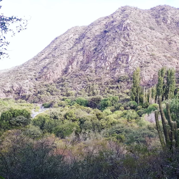 Tres riojanos ingresaron ilegalmente buscando una vaca: quedaron aislados en hoteles