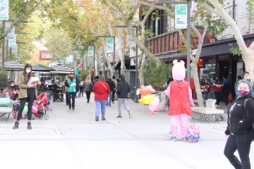 Las ventas de agosto tuvieron una caída del 15% interanual en el comercio sanjuanino Las ventas de agosto tuvieron una caída del 15% interanual en el comercio sanjuanino