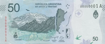 El Cóndor Andino, protagonista del nuevo billete de 50 pesos El Cóndor Andino, protagonista del nuevo billete de 50 pesos