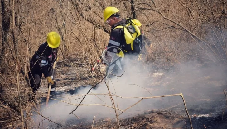 Siete provincias continúan con focos activos de incendios forestales Siete provincias continúan con focos activos de incendios forestales