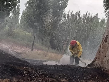 Un municipal por cada quema de pastizales, la polémica ordenanza rawsina
