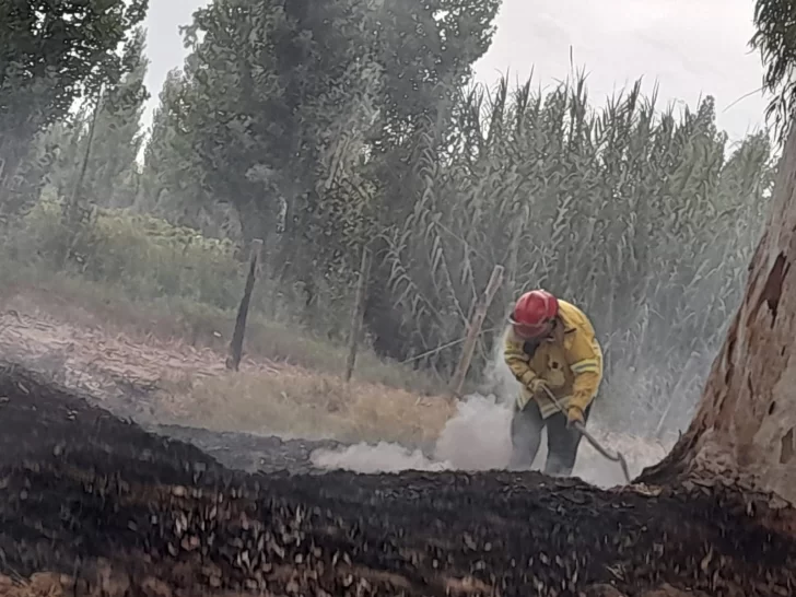 Un municipal por cada quema de pastizales, la polémica ordenanza rawsina