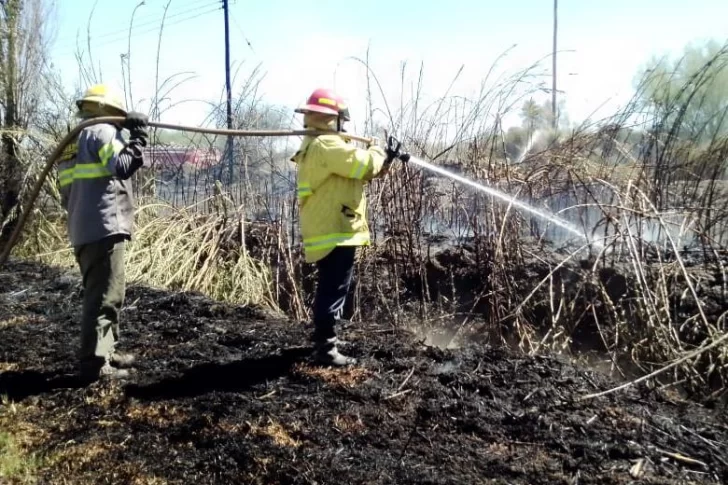 El incendio en Carpintería arrasó con una hectárea de pastizales