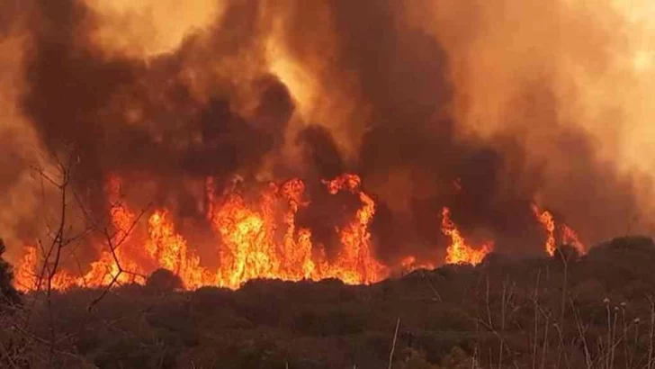 Desde el Gobierno insisten en que investigarán la causa de los incendios Desde el Gobierno insisten en que investigarán la causa de los incendios