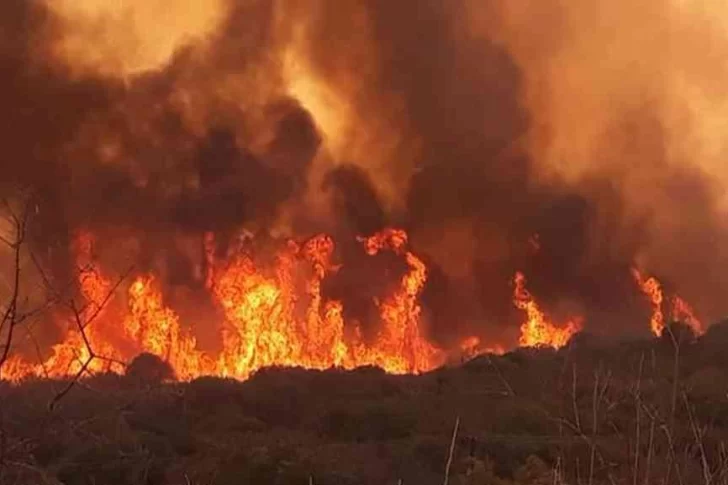 Desde el Gobierno insisten en que investigarán la causa de los incendios