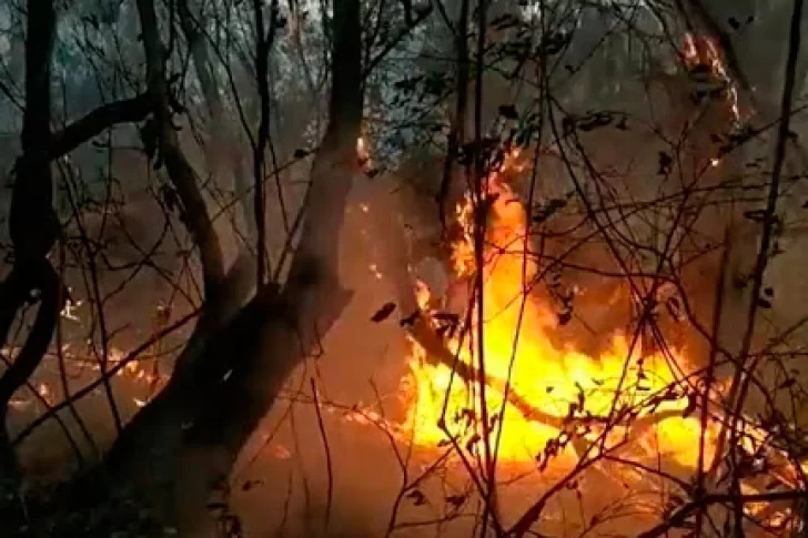 Jujuy sigue siendo la provincia más afectada por los incendios forestales