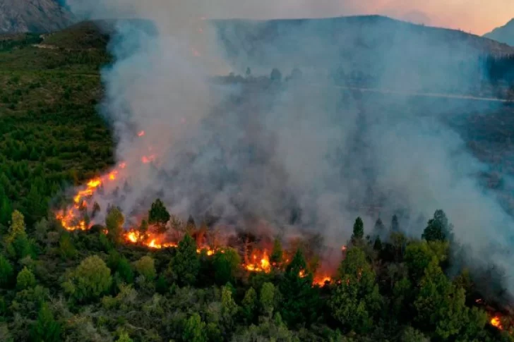 Incendio en Río Negro: el viento no da tregua y hay al menos 6.500 hectáreas afectadas