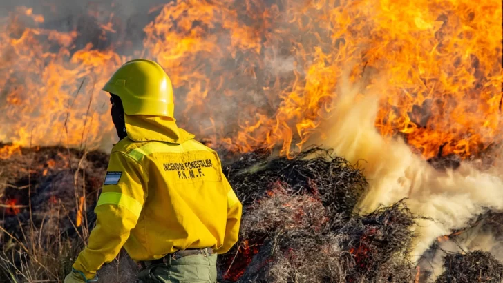 Bomberos combatieron incendio en el Valle de Traslasierra de Córdoba