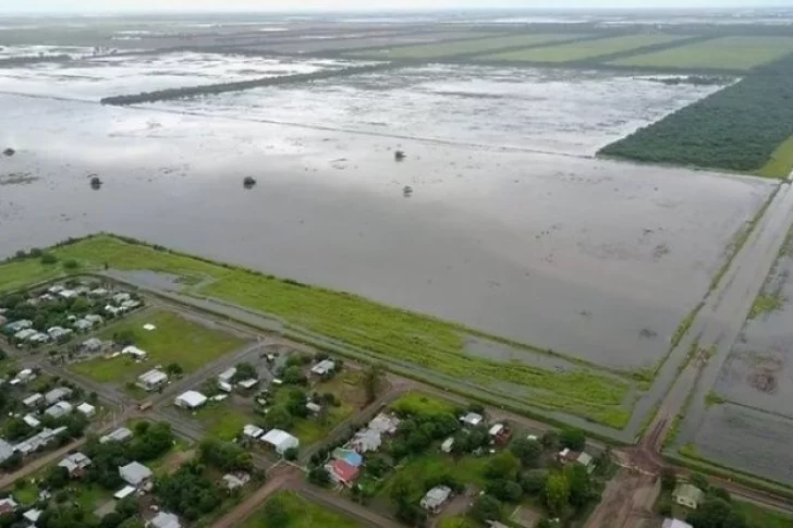 Emergencia agropecuaria en cuatro provincias por las inundaciones
