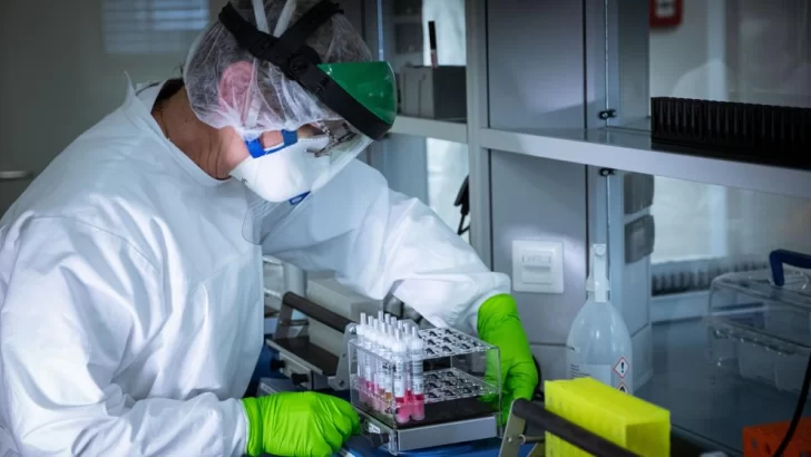 Las teorías sobre el fin del coronavirus que turban al mundo científico Las teorías sobre el fin del coronavirus que turban al mundo científico