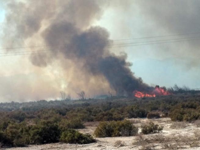 Detuvieron a un joven de 19 años por provocar un incendio de pastizales Detuvieron a un joven de 19 años por provocar un incendio de pastizales