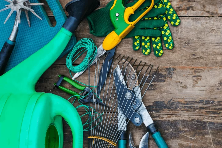 Poner a punto tu jardín