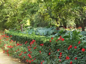 Respeto por la biodiversidad Respeto por la biodiversidad