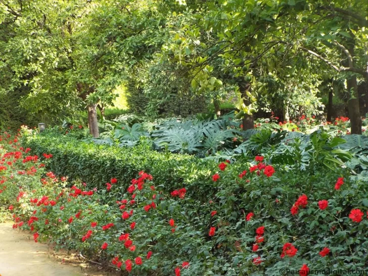 Respeto por la biodiversidad Respeto por la biodiversidad