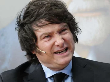 Javier Milei dijo que las universidades públicas son “centros de adoctrinamiento” Javier Milei dijo que las universidades públicas son “centros de adoctrinamiento”