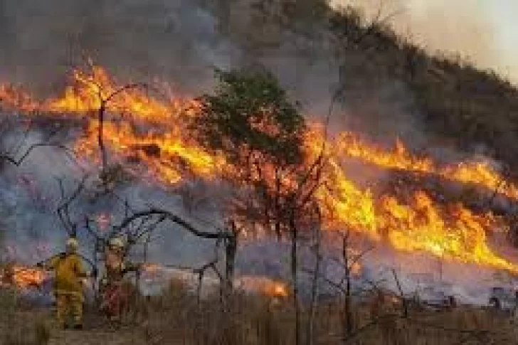 Los incendios forestales ya arrasaron casi mil hectáreas del Parque Nacional Calilegua