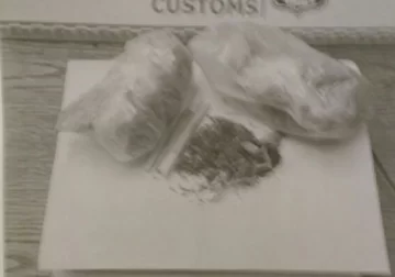 Detuvieron a dos argentinos que intentaron pasar droga por Agua Negra Detuvieron a dos argentinos que intentaron pasar droga por Agua Negra