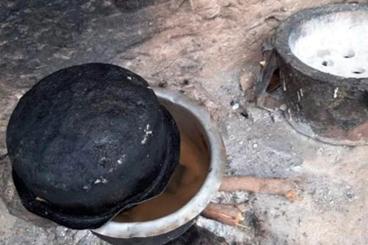 Sequía en Kenia: muerte de 205 elefantes y otros 1.030 animales salvajes