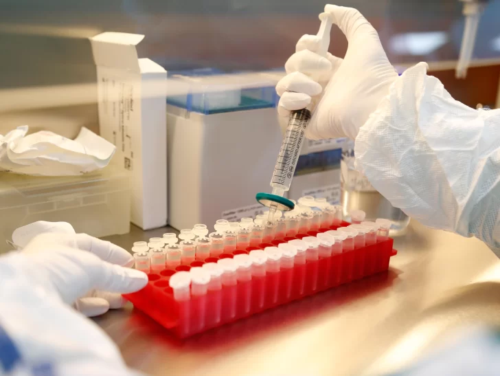 Coronavirus en San Juan: 3 casos sospechosos en estudio Coronavirus en San Juan: 3 casos sospechosos en estudio