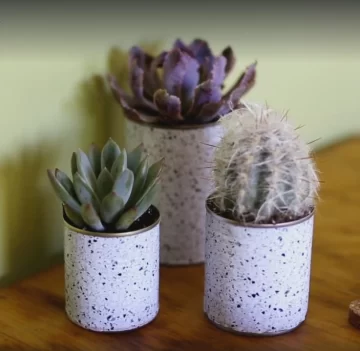 Cómo hacer una maceta para las plantas con materiales reciclados y en familia Cómo hacer una maceta para las plantas con materiales reciclados y en familia