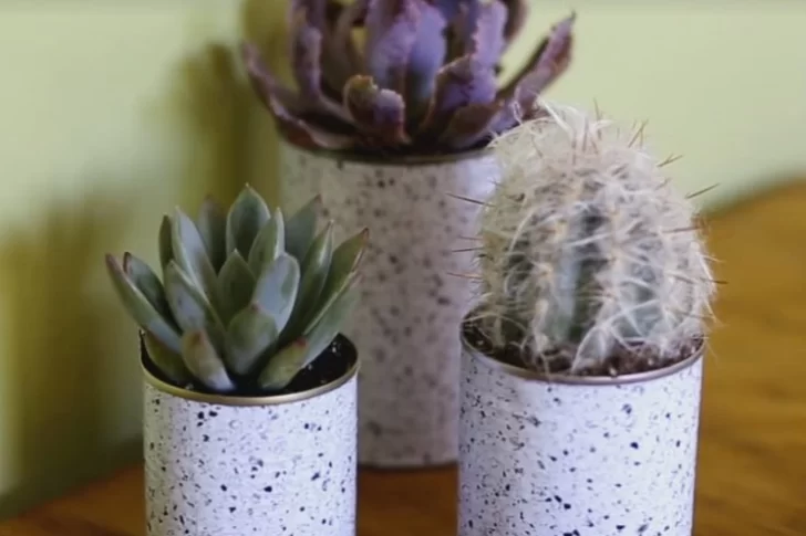 Cómo hacer una maceta para las plantas con materiales reciclados y en familia