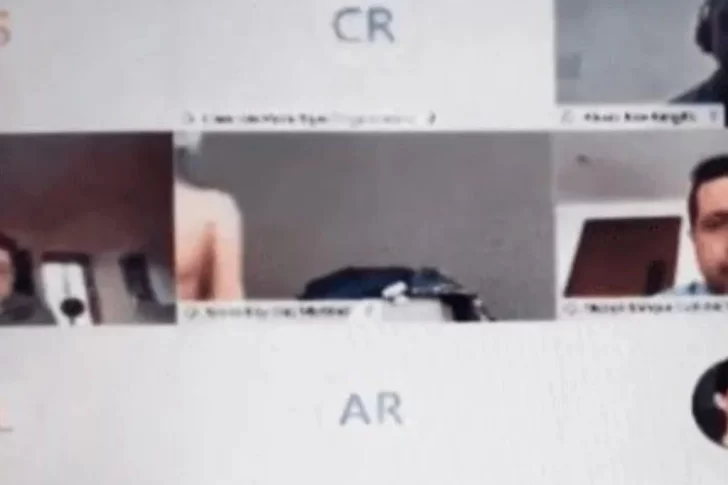 Video: una legisladora apareció desnuda en una sesión virtual