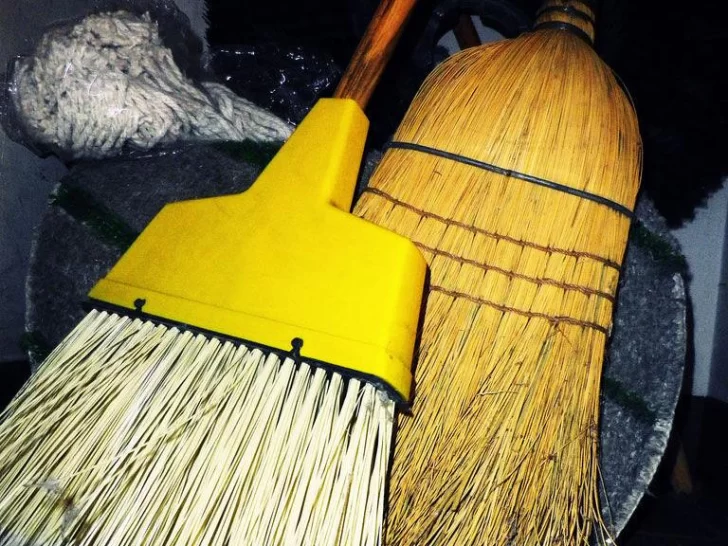 Cayó preso por robar suavizante y jabón para ropa, cepillos y una pala de una casa Cayó preso por robar suavizante y jabón para ropa, cepillos y una pala de una casa