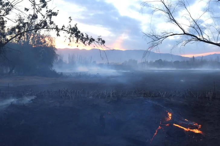 Bomberos tuvieron que actuar en 17 incendios, ocurridos en 10 departamentos diferentes