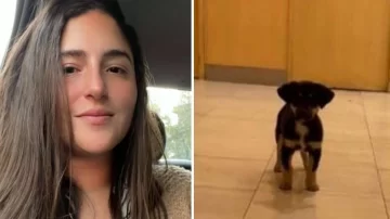 Una joven de Recoleta contó en Twitter que le robó un perrito a un indigente y la destrozaron Una joven de Recoleta contó en Twitter que le robó un perrito a un indigente y la destrozaron