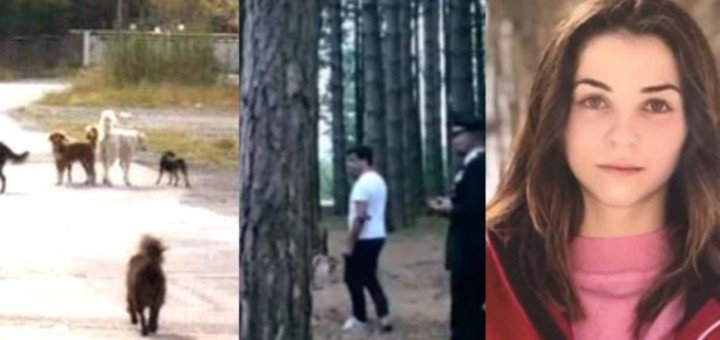 Una joven de 20 años fue mutilada por perros callejeros Una joven de 20 años fue mutilada por perros callejeros