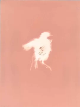 Sanjuaninos en carrera