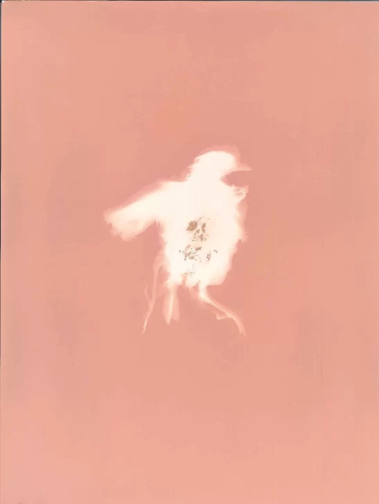 Sanjuaninos en carrera