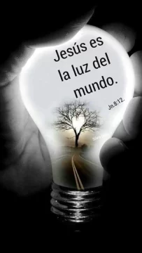 [AUDIO] Reflexión espiritual del lunes 4 de abril: la belleza de la luz