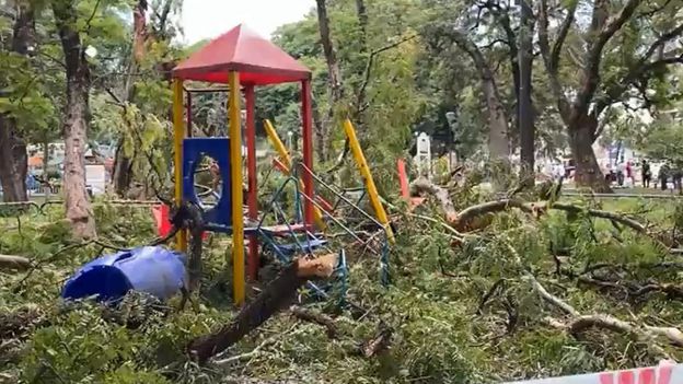 Cayó un árbol en un parque infantil y hay cinco nenes internados Cayó un árbol en un parque infantil y hay cinco nenes internados