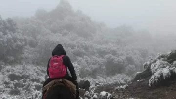 Quién es la maestra sanjuanina que viaja a lomo de mula por las sierras nevadas y se volvió viral Quién es la maestra sanjuanina que viaja a lomo de mula por las sierras nevadas y se volvió viral