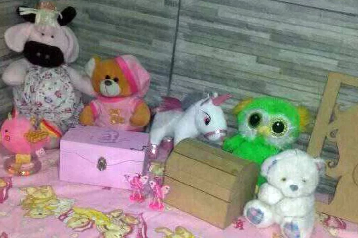 Entraron a robar a su casa y se llevaron hasta las cenizas de sus mellizas