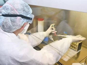 Las características de cada una de las nuevas variantes detectadas en San Juan Las características de cada una de las nuevas variantes detectadas en San Juan